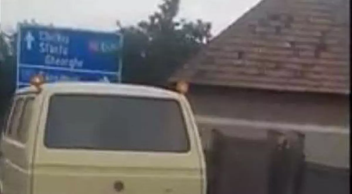 Bărbat filmat în timp ce târa un câine legat de mașină, în Harghita