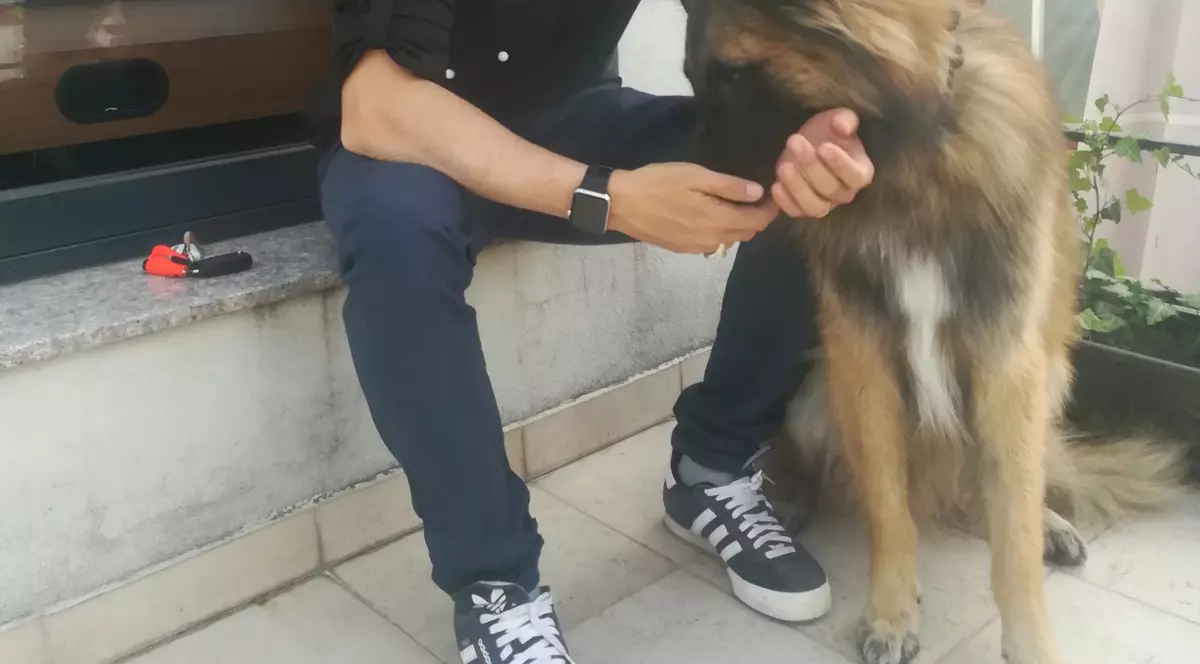 Chef Foa, nedespărțit de câinele lui. Imagini emoționante cu animalul lui de companie