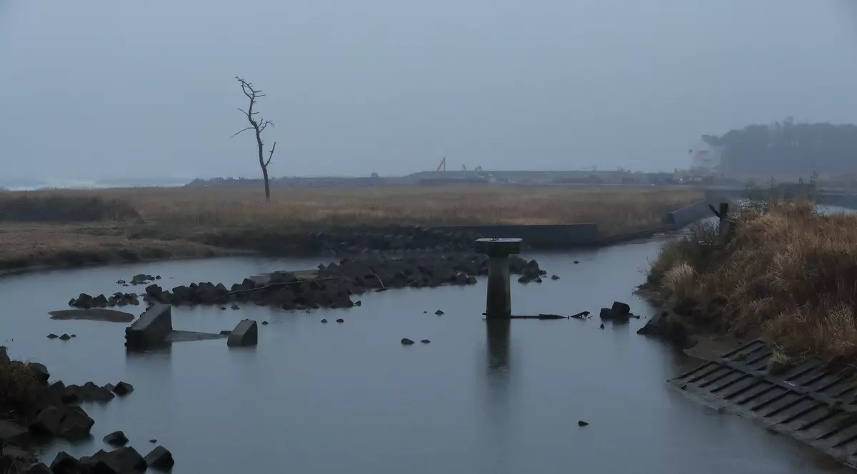 primul deces cauzat de radiațiile de la Fukushima