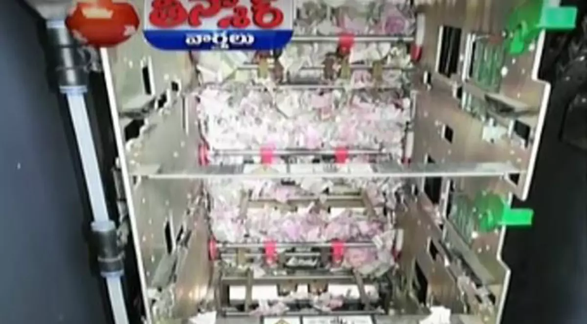 Mai mulți șobolani au ros 17.600 de dolari dintr-un bancomat