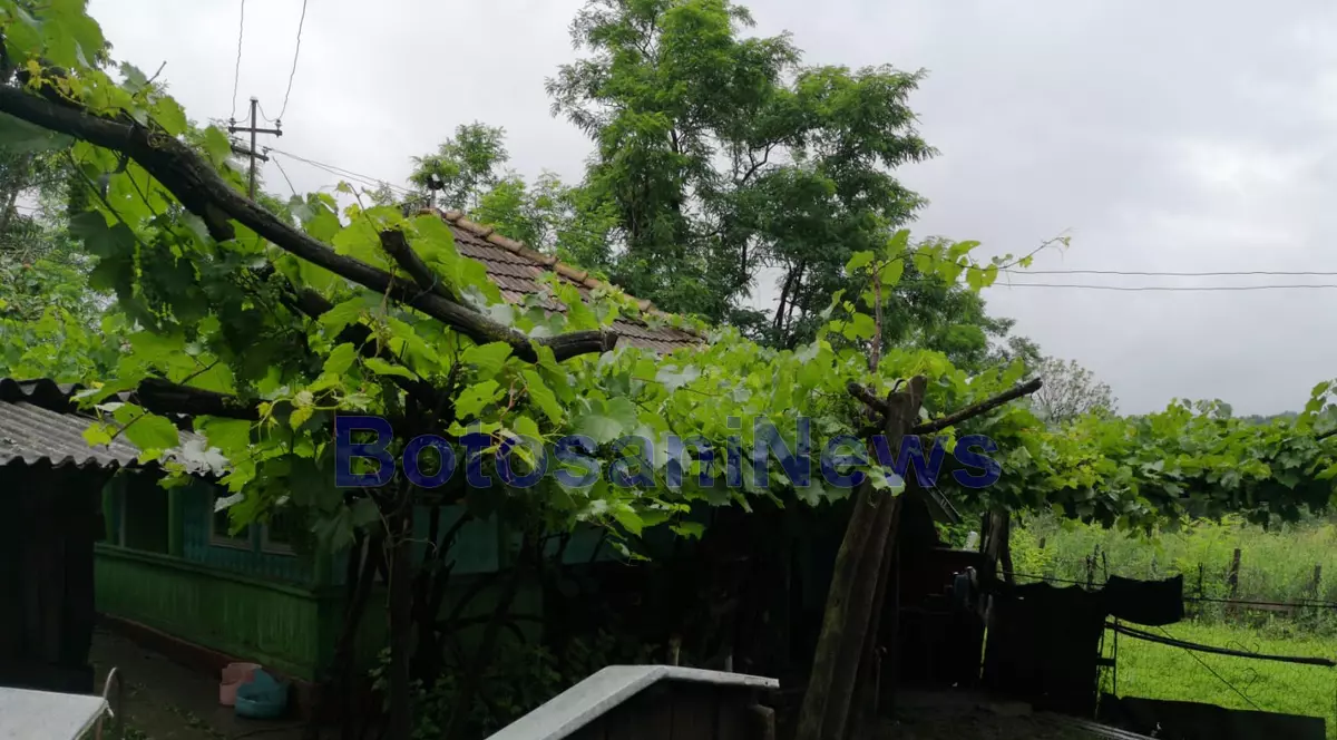 O bătrână din Botoșani a murit după ce tavanul casei s-a prăbușit peste ea. Femeia de 81 de ani n-a avut nicio șansă