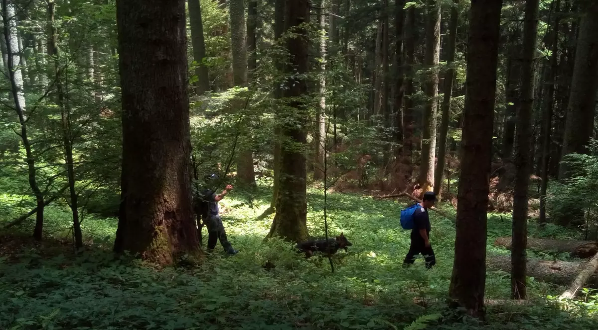 Un turist american a dispărut în Munții Bucegi, după un zbor cu parapanta