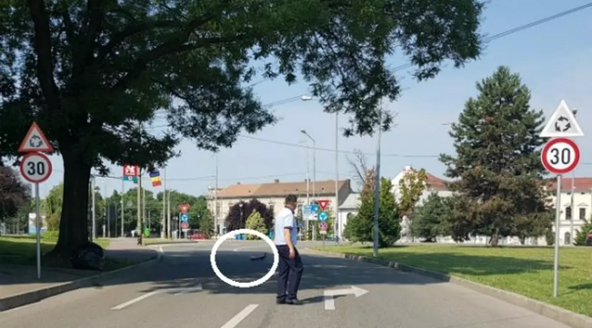 Un polițist de la circulație din Oradea a oprit traficul pentru o rață și bobocii ei