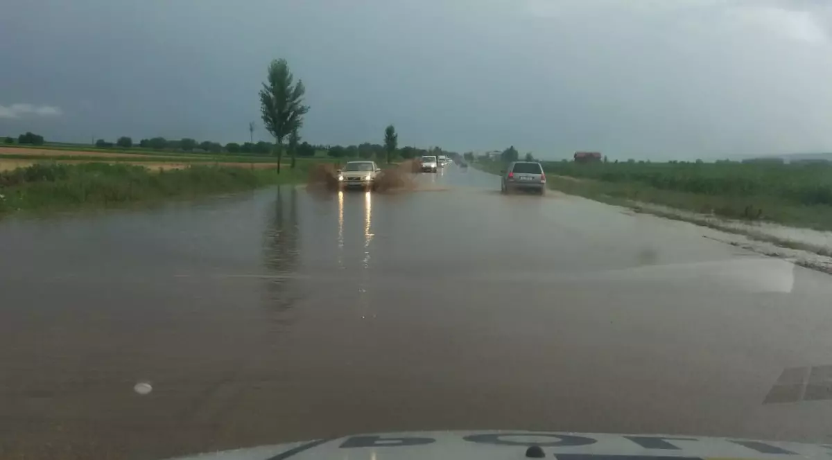 Rupere de nori la Focșani. Străzi și gospodării inundate, copaci căzuți