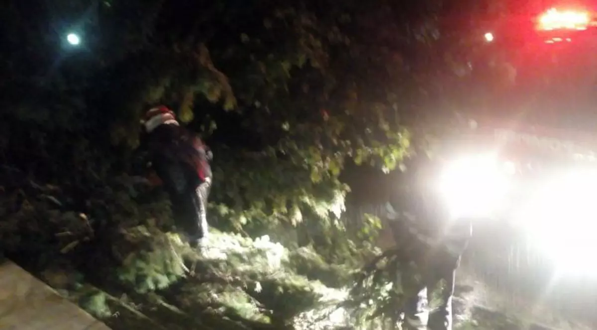 Un bărbat a murit luat de viitură, în Vâlcea. Familia a văzut că dispăruse abia dimineața