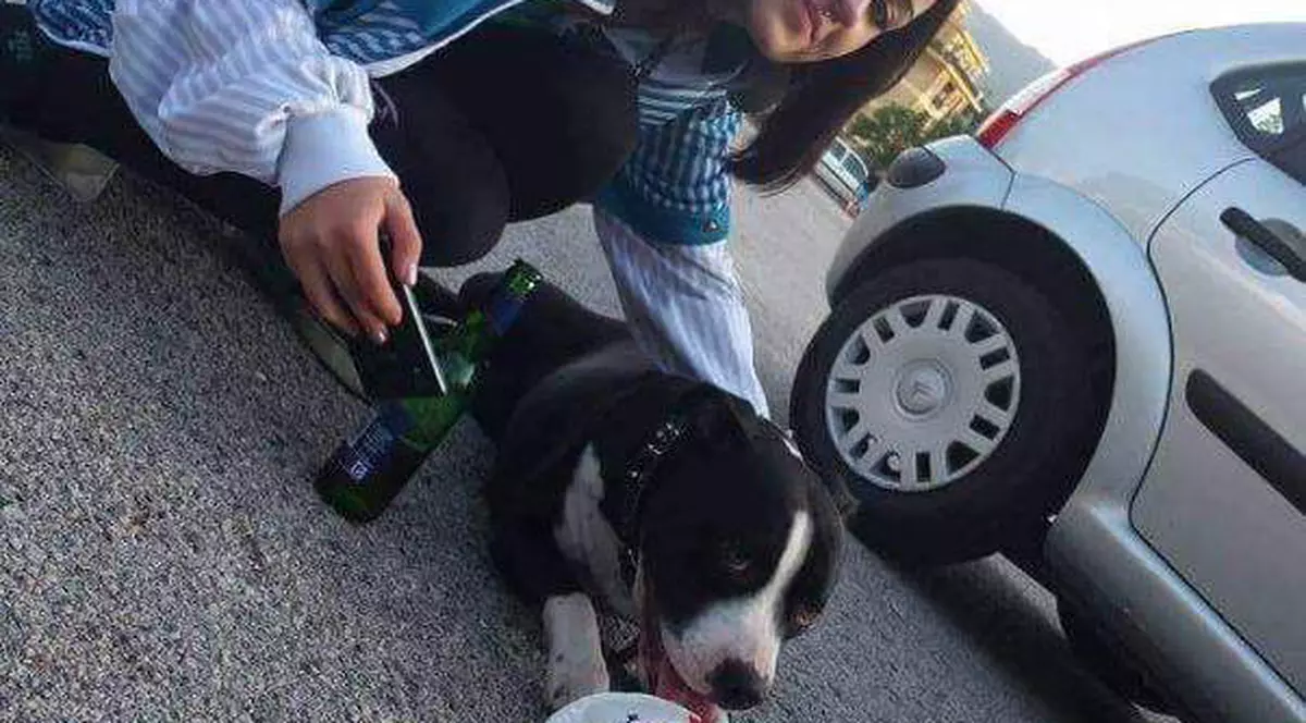 Românca de 21 de ani dată dispărută în Italia a fost găsită moartă în condiții oribile. Nu mai avea față și era acoperită cu câteva pături