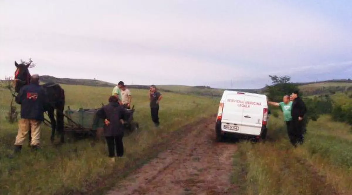Un cioban a murit lovit de trăznet în județul Satu Mare