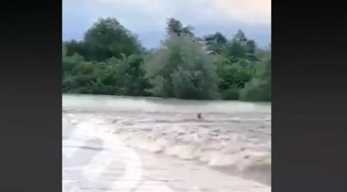 Bărbat luat de viitură în Răcari, Dâmbovița. Omul a fost salvat de săteni