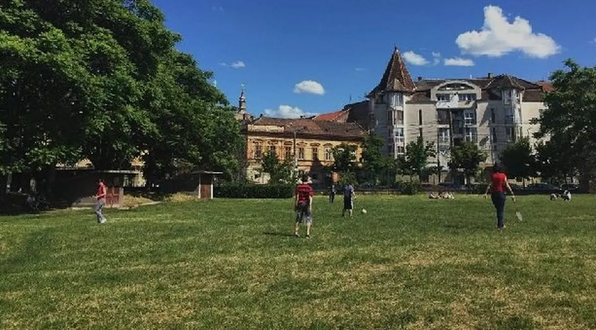 Bătaie cu perne la Timișoara, în Grădina Botanică. Ce trebuie să știe combatanții