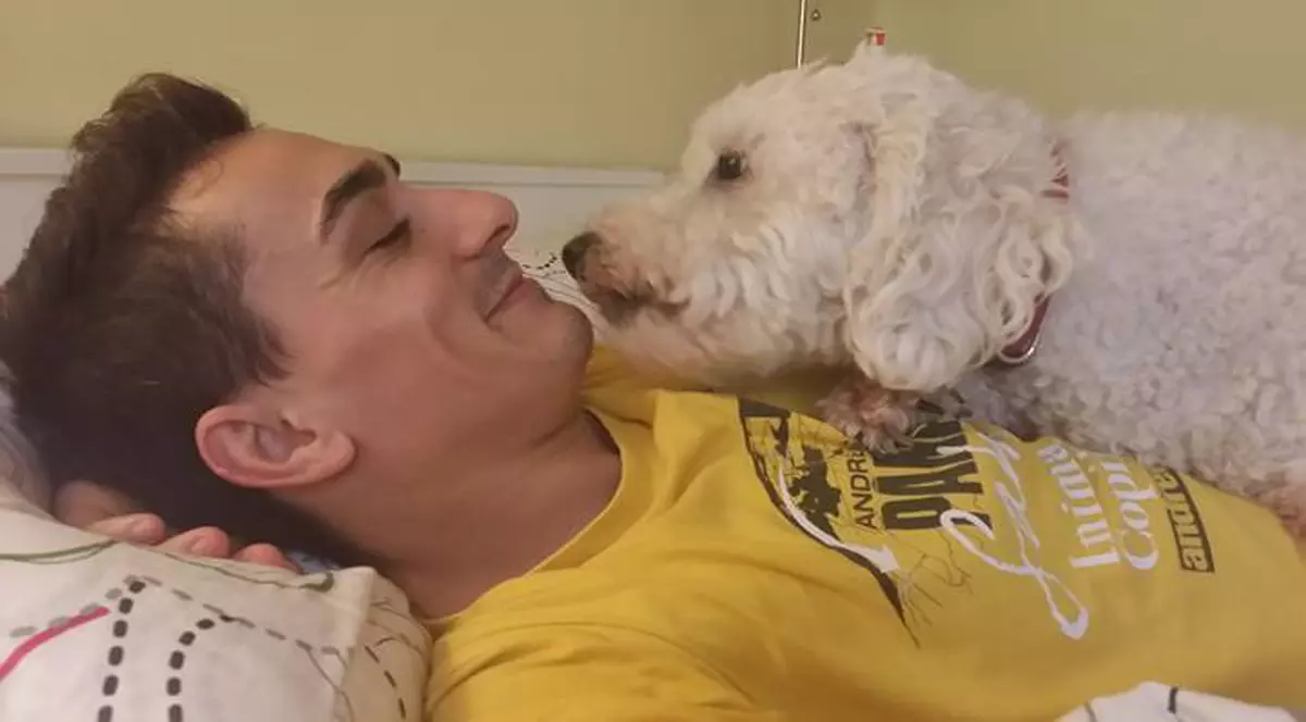 Gestul surprinzător făcut de Marian Drăgulescu. „Am sterilizat 100 de câini de pe un câmp din Pantelimon!”