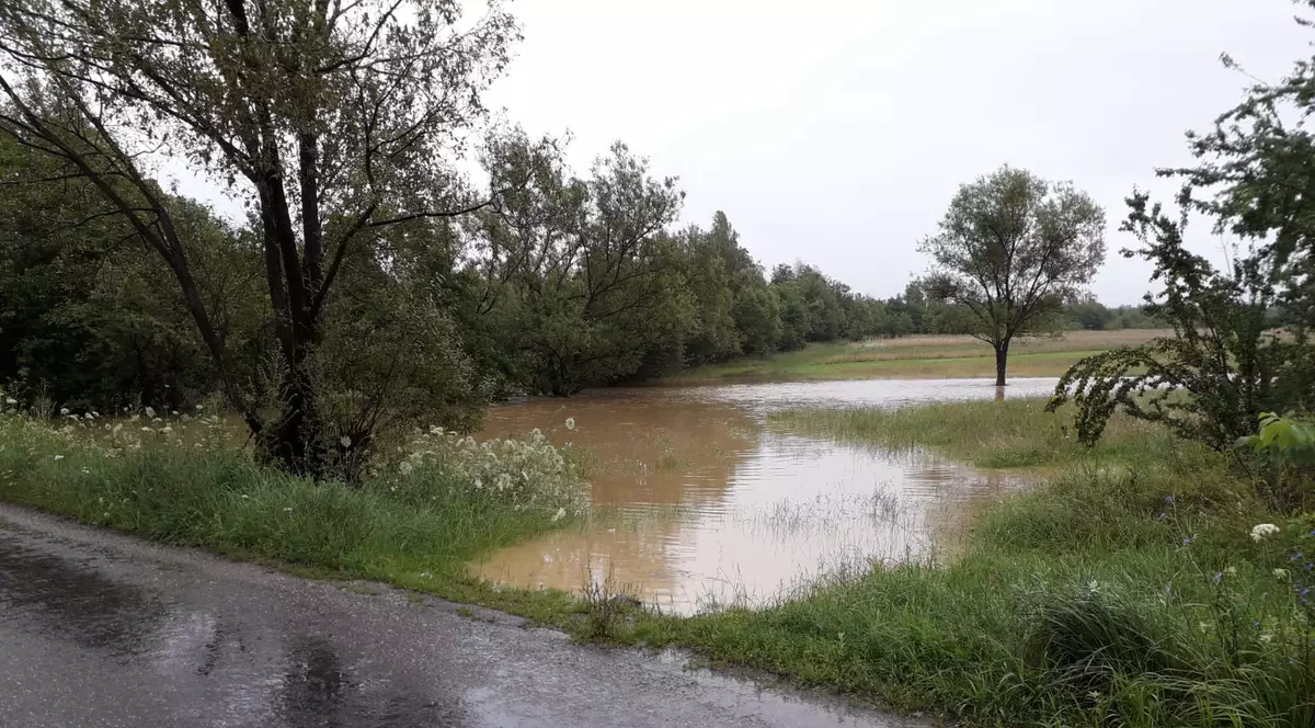 Un copil a căzut dintr-o căruță într-un pârâu umflat de ploi, din Făgăraș