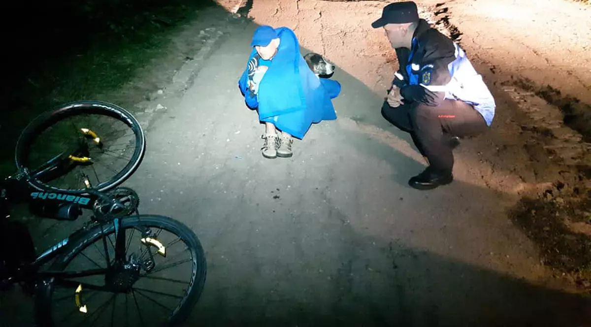 Câinele maidanez care a avut grijă de un biciclist, în Munții Semenic, până la venirea jandarmilor a fost adoptat. Cine este noul stăpân