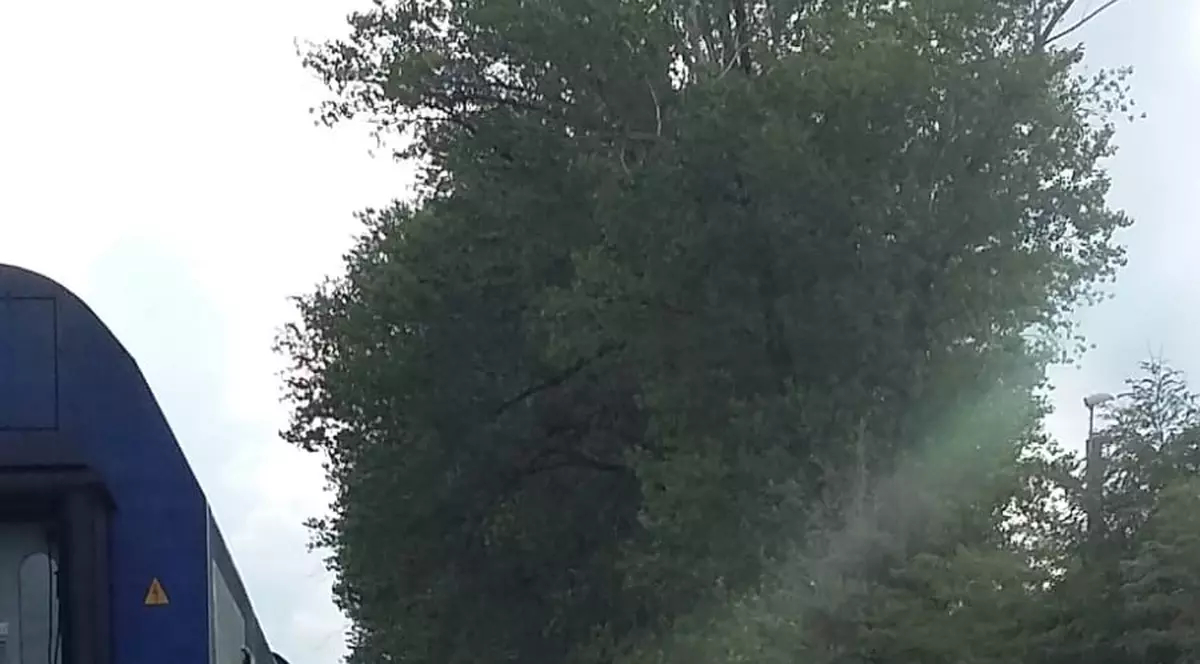 Camion lovit de tren în apropierea Gării Băilești, Dolj