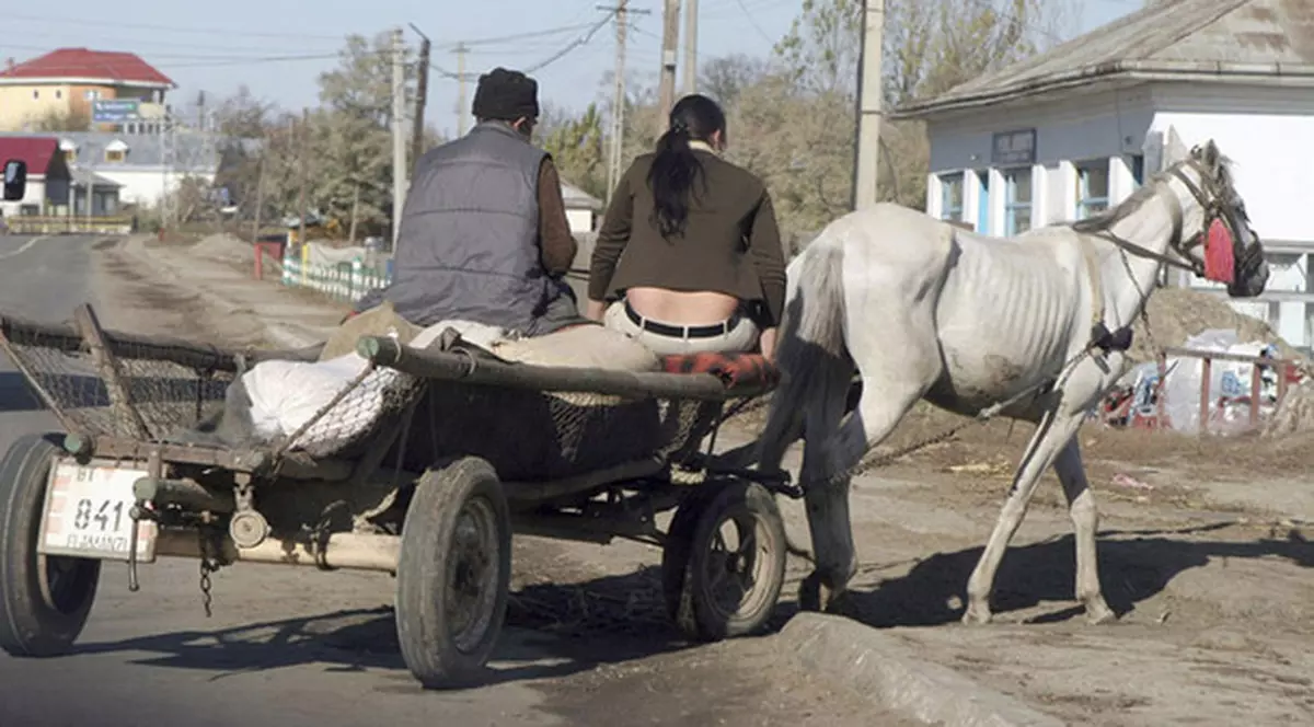 O fetiță de doi ani din Satu Mare este dată dispărută și este căutată de sămbătă de la prânz.Copila ar fi căzut din căruță