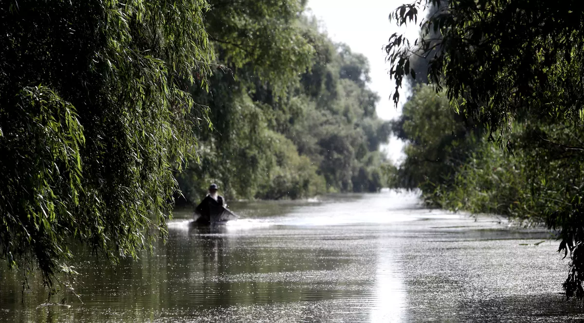 FOTOREPORTAJ/ Prin Delta Dunării, în căutarea sălbăticiei