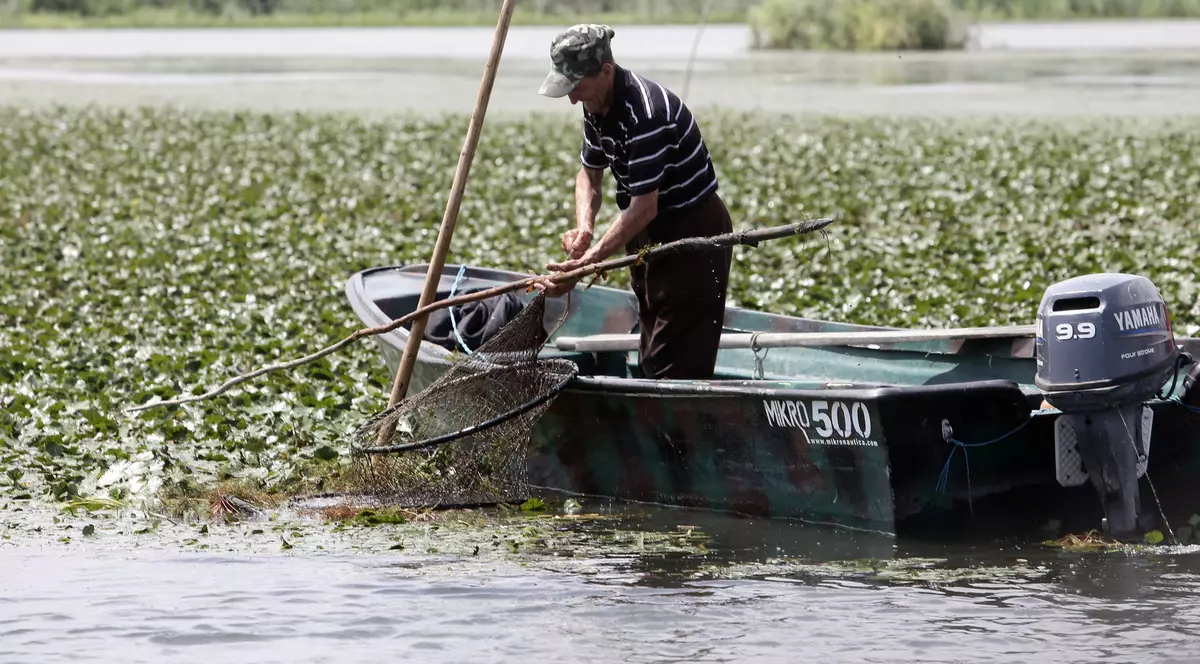 Ferme de subzistență în Deltă
