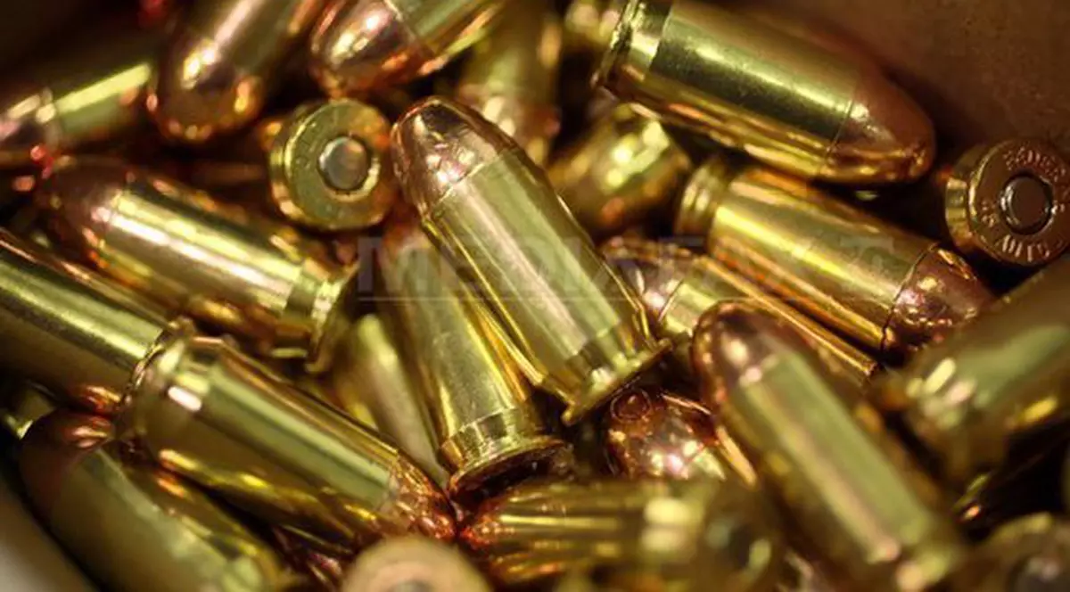 EXCLUSIV / Andrei Grumezescu, fiul fostului șef de la ”Arme și Muniții” din Poliția Capitalei, audiat pentru transportul a 14.000 de cartușe. Cui apariține muniția