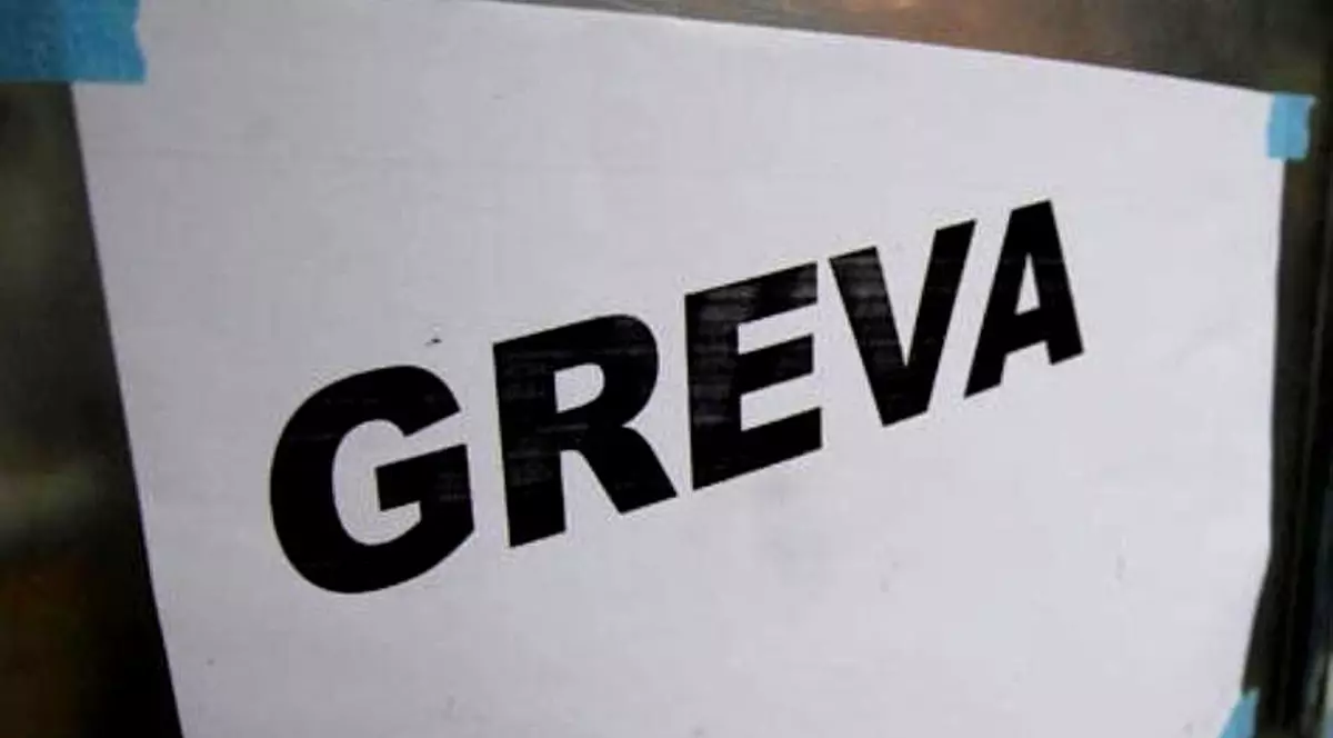 Salariaţii din Sport şi Tineret au intrat în grevă japoneză