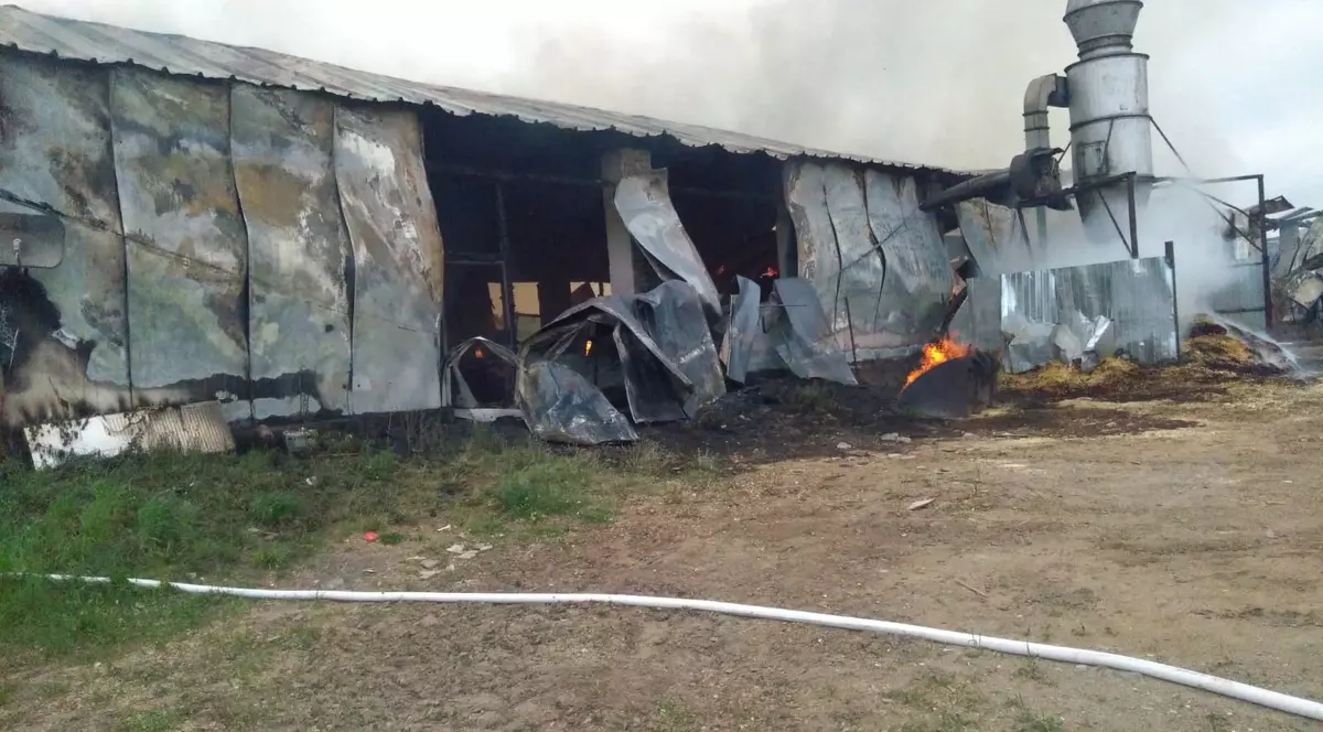 Incendiu la o hală de prelucrare a lemnului din judeţul Covasna