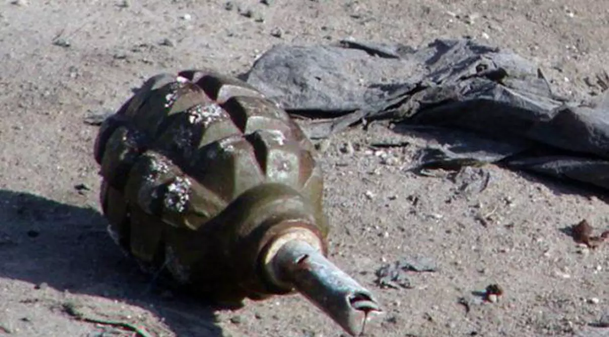 Doi copii au pescuit o grenadă