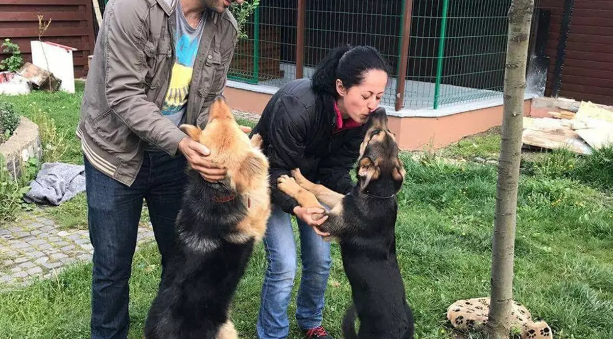 Delia Botea a fost manager de vânzări, dar acum salvează câini vagabonzi