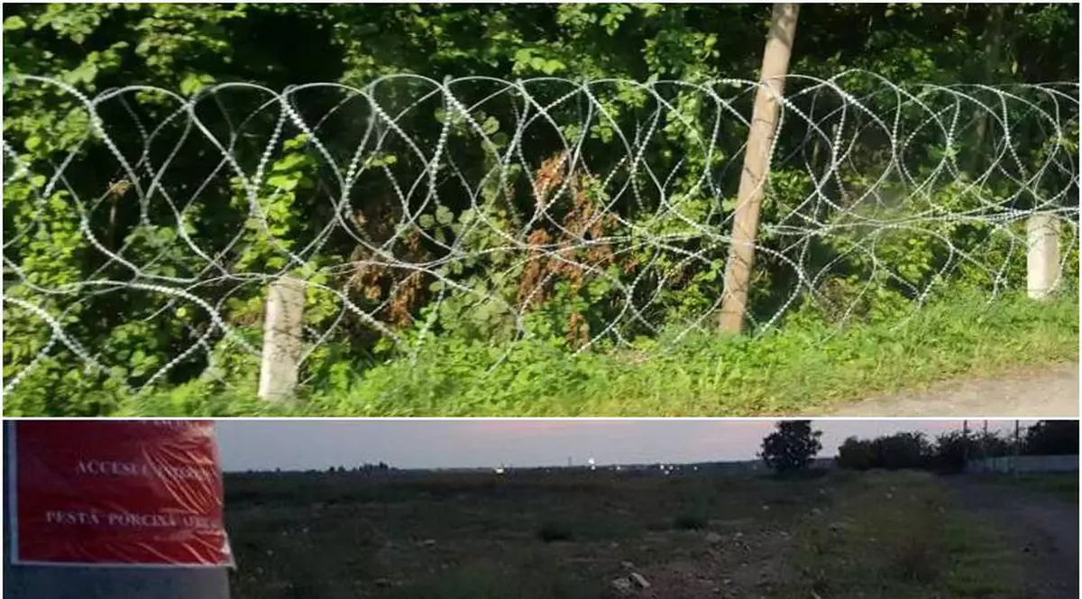 Bulgaria a finalizat gardul de la granița cu România. S-au ridicat 133 km de gard pentru a opri porcii să intre în țara vecină