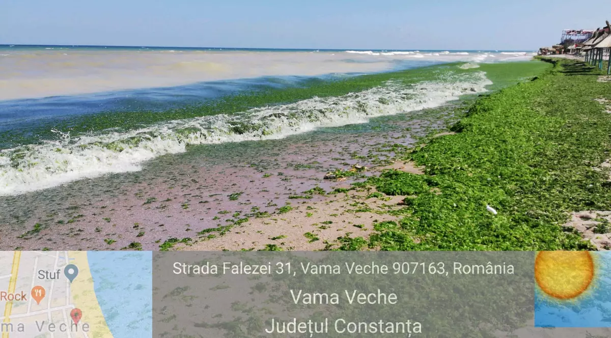 Litoralul este plin de alge după furtuna din ultimele zile de la Marea Neagră