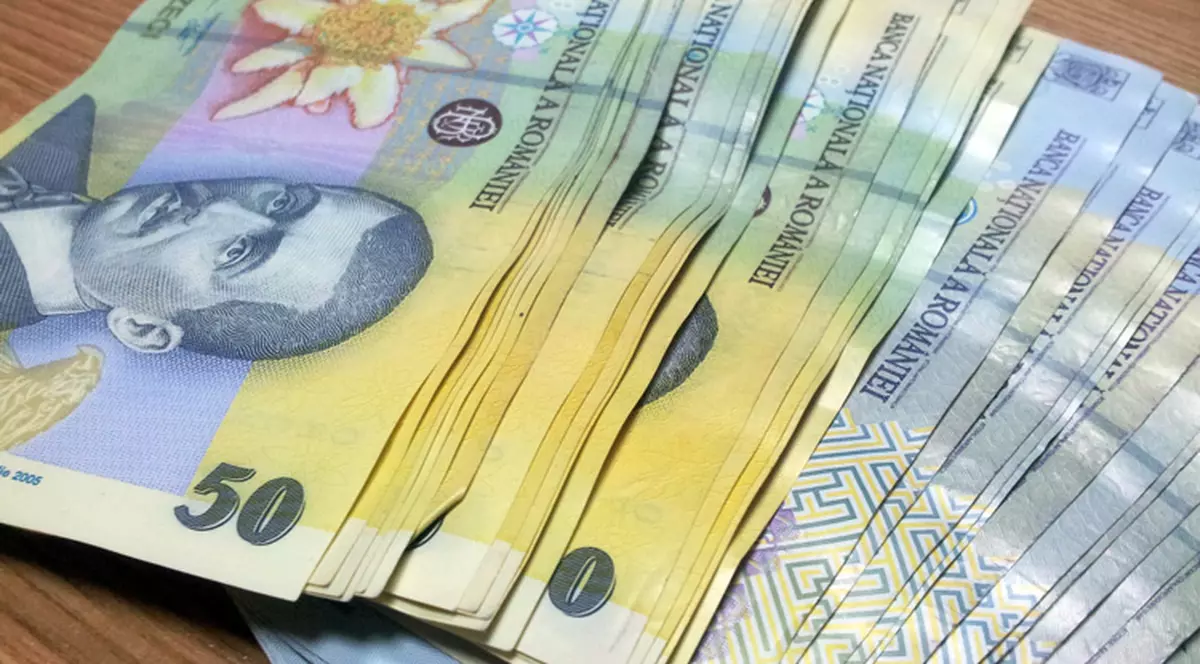Românii cu datorii la stat vor primi o reducere dacă își achită dările înainte de timp. Teancuri de lei pe o masă