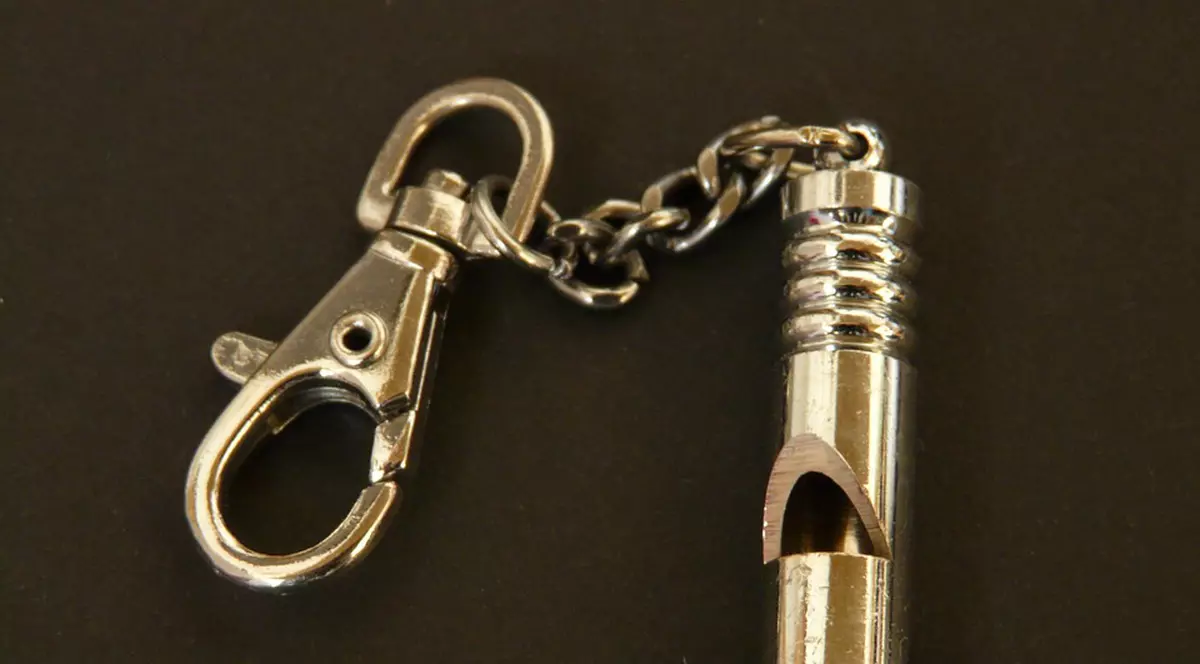 Primăria Capitalei a cumpărat fluiere de 16.800 de euro pentru pompieri și polițiști