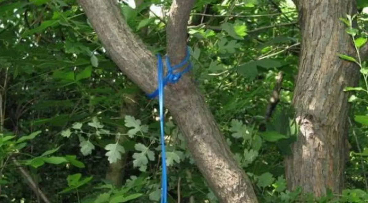 Un bărbat din Vrancea s-a spânzurat în grădina din spatele casei, după ce soția l-a părăsit. Statul i-a luat și fetițele