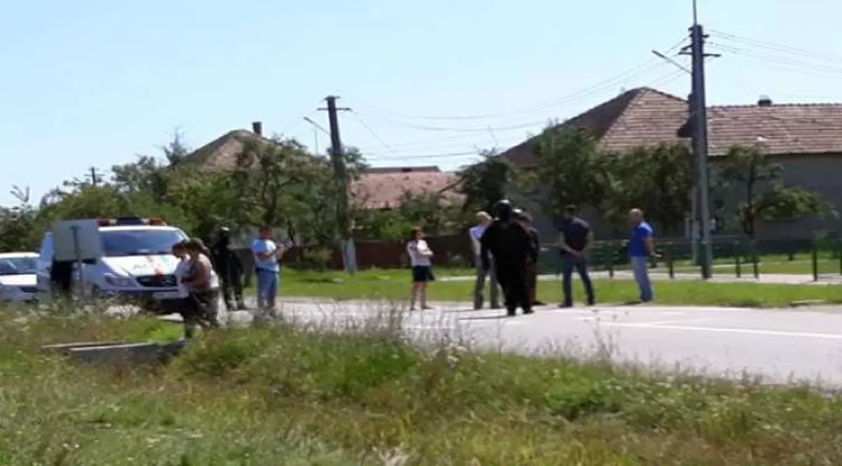 tanar ucis Timisoara