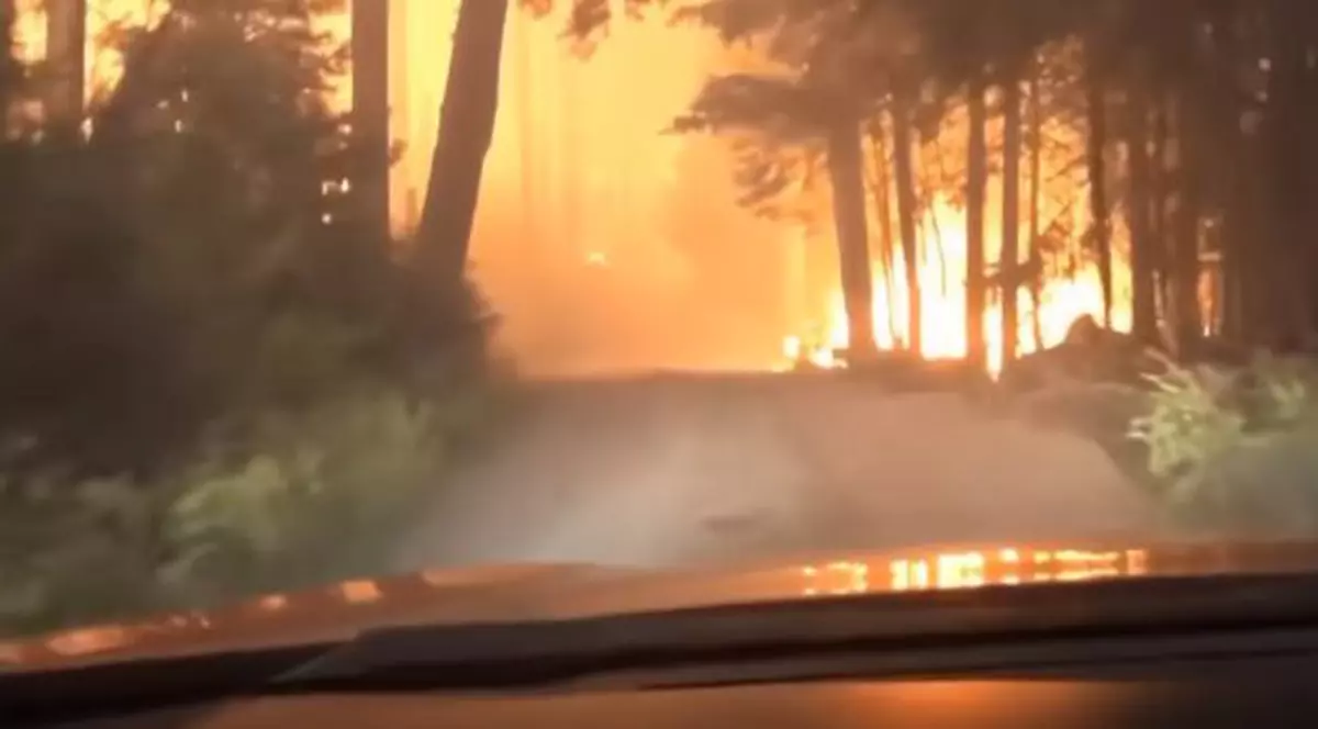 VIDEO | Momentul în care un tată și fiul lui s-au salvat la limită din calea unui incendiu