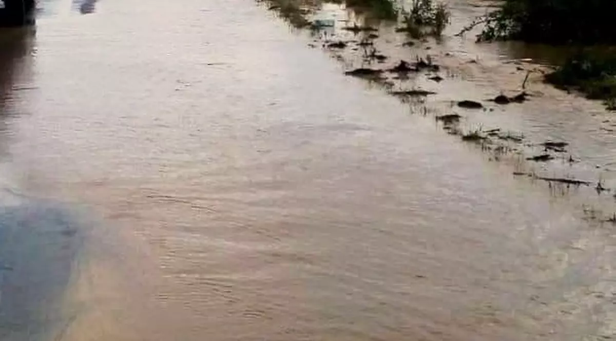 Cod galben de inundații pe râul Neajlov. Ape revărsate pe un râu din România