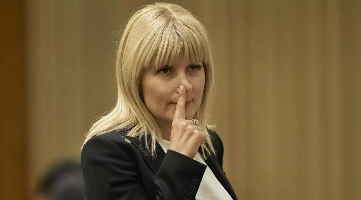De ce a fost condamnată Elena Udrea în dosarul Gala Bute