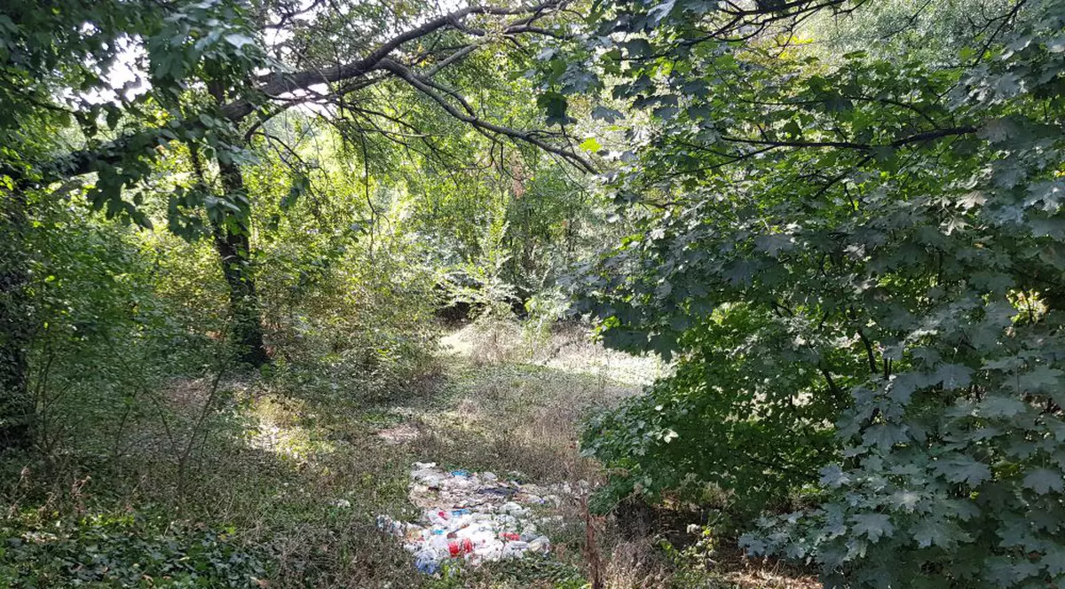 Aici sunt banii dumneavoastră! 50 milioane de euro pentru o junglă: Parcul Verdi, plin de gunoaie, achiziția controversată a Primăriei Capitalei