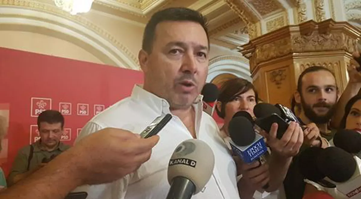 Catalin Radulescu declaratii la Parlament