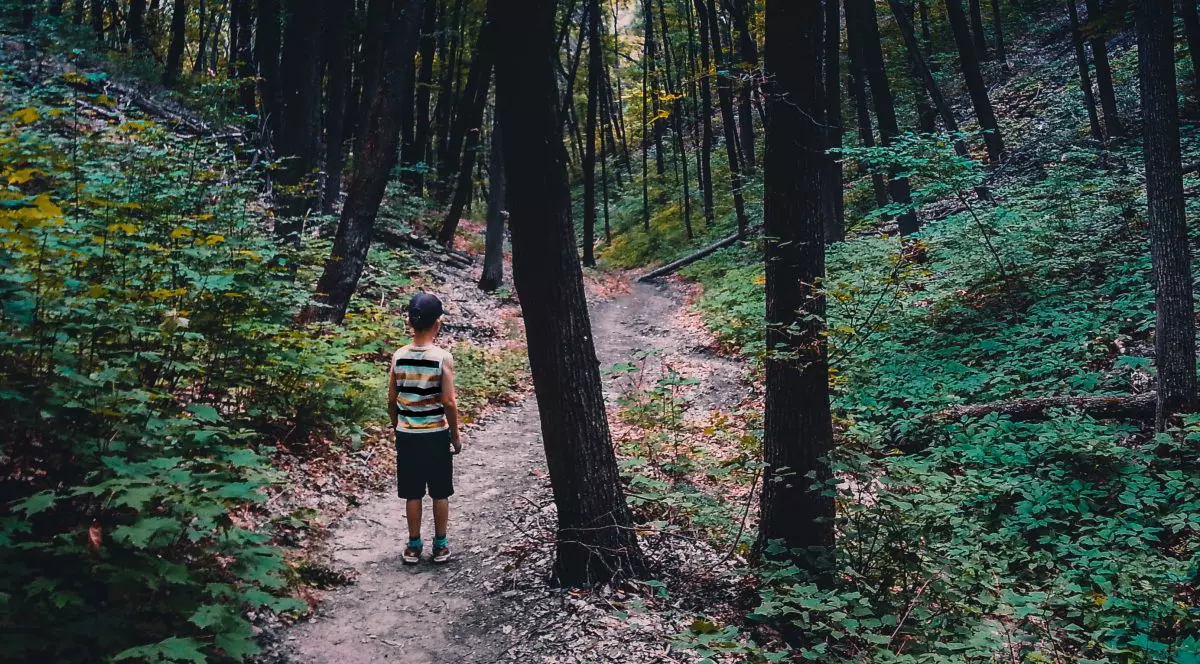 Situație absurdă! Cum au ajuns 24 de copii să meargă zeci de km prin pădure după concedierea unui om