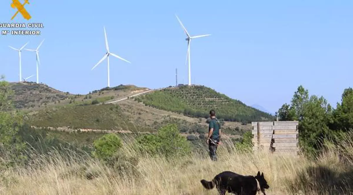 O turistă din Franța a fost acuzată de crimă în Spania: și-a strangulat prietena! Detalii cutremurătoare de la această dramă.