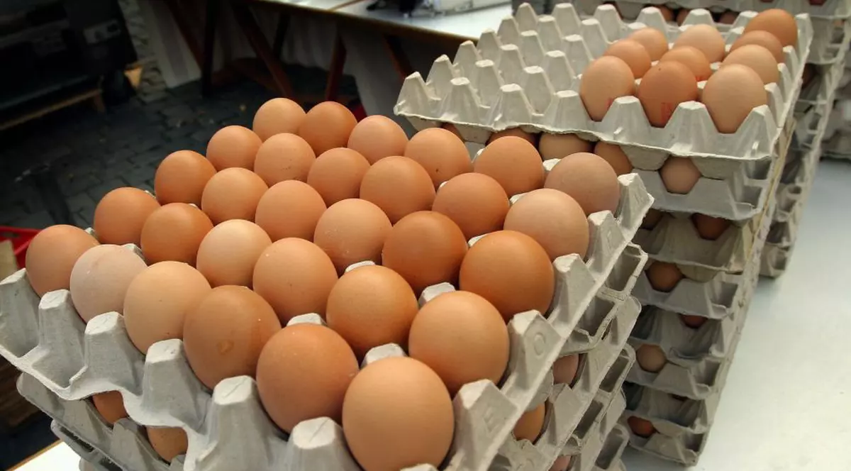 Scoatem din buzunar mai mulți bani pentru ouă, citrice și pâine. Cum au evoluat prețurile alimentelor în luna august