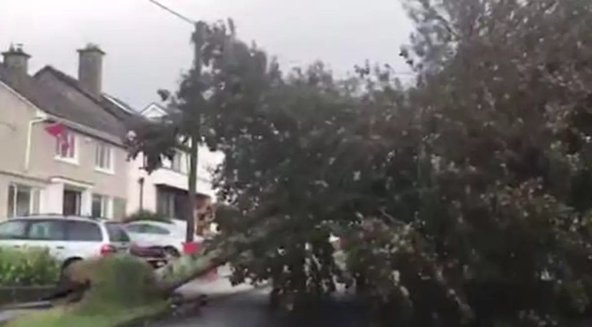 Uraganul le-a împrăștiat jucăriile sexuale pe stradă!