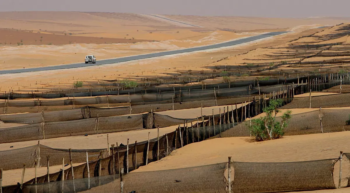 Trump a recomandat Spaniei să construiască un zid în jurul Saharei