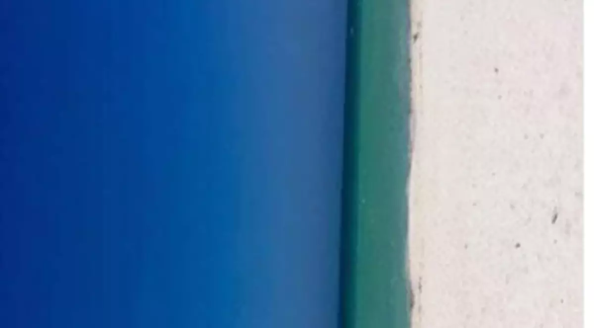 O iluzie optică a creat isterie pe internet. Tu ce vezi în această fotografie?