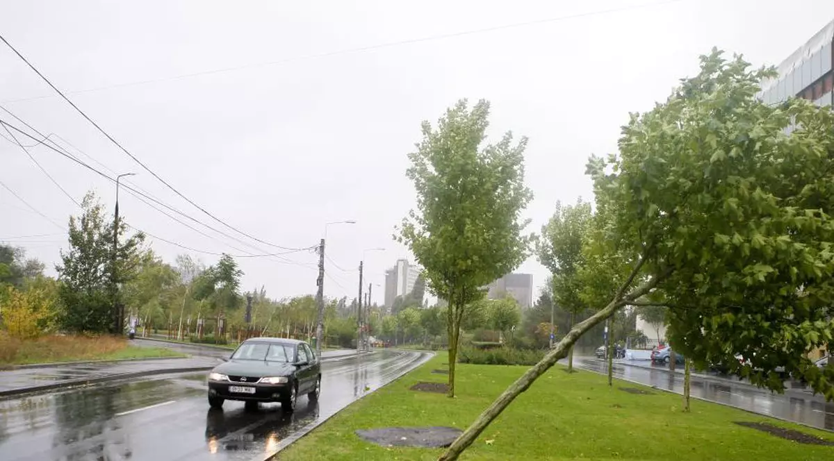 Prognoza meteo pentru 13 decembrie. Pom îndoit de vânt și o mașină care circulă pe o șosea umedă