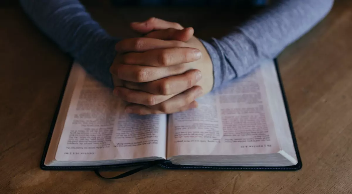 gruparea islamista care vinte carti pentru a sustine jihadul