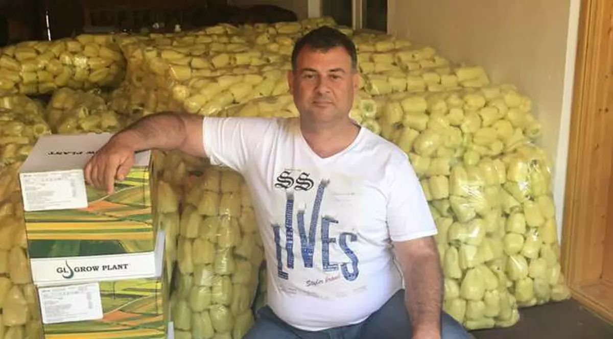 Cine era bărbatul care se afla la volanul maşinii zdrobite în accidentul din Calafat. Mâine era ziua fetiței cunoscutului om de afaceri