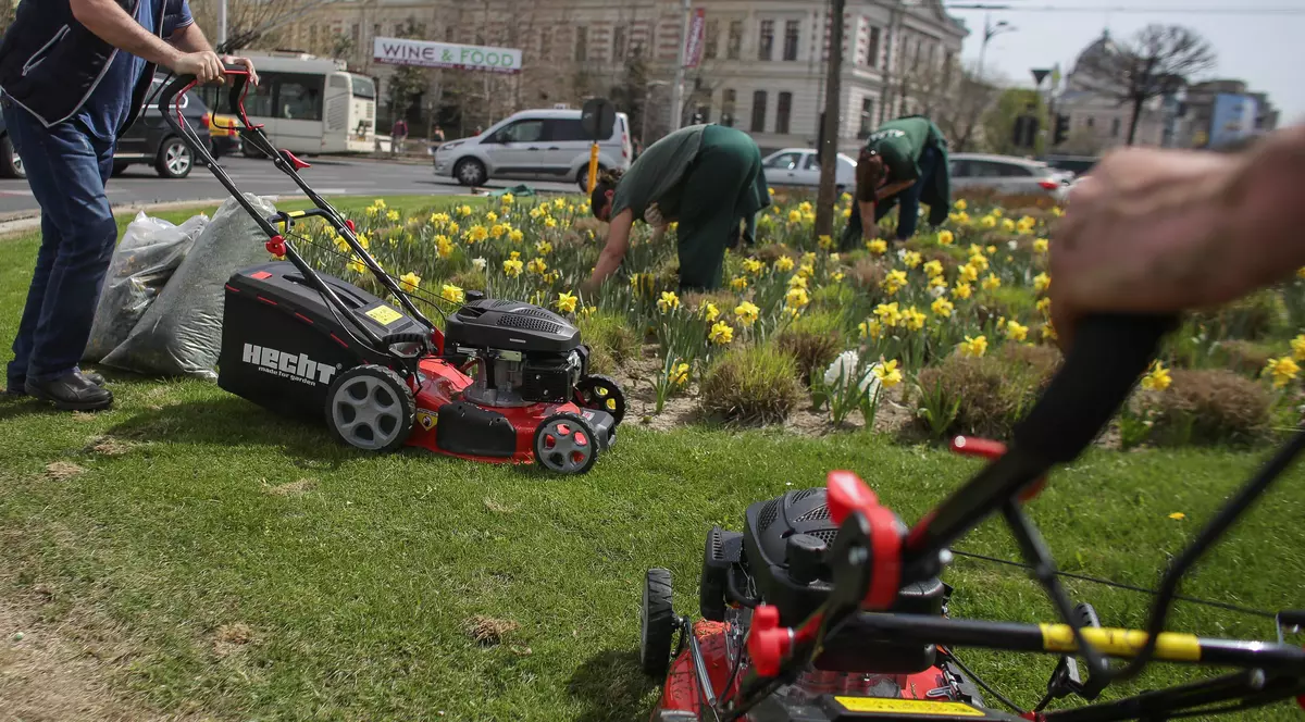 Refuzul unui loc de muncă sistează ajutorul social. Ce alte obligații au asistații