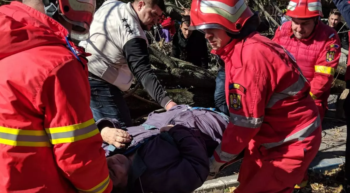 Bătrână rănită grav, după ce un copac de pe marginea unei șosele din Craiova a căzut peste ea