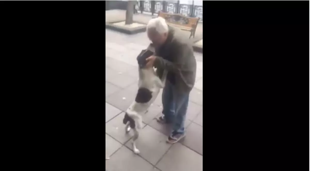 VIDEO | Momentul emoționant în care un bărbat și-a reîntâlnit câinele la 3 ani după ce l-a pierdut