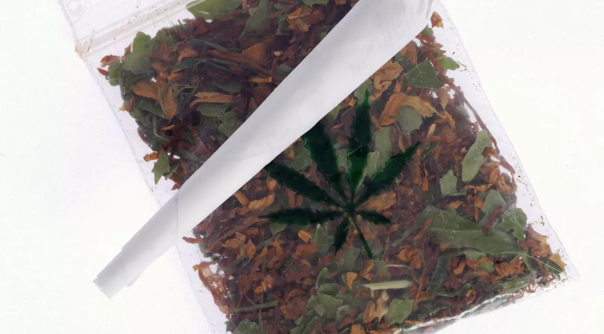 Cum este tratat consumul de canabis în toată lumea. În ce țări este permis să fumezi marijuana