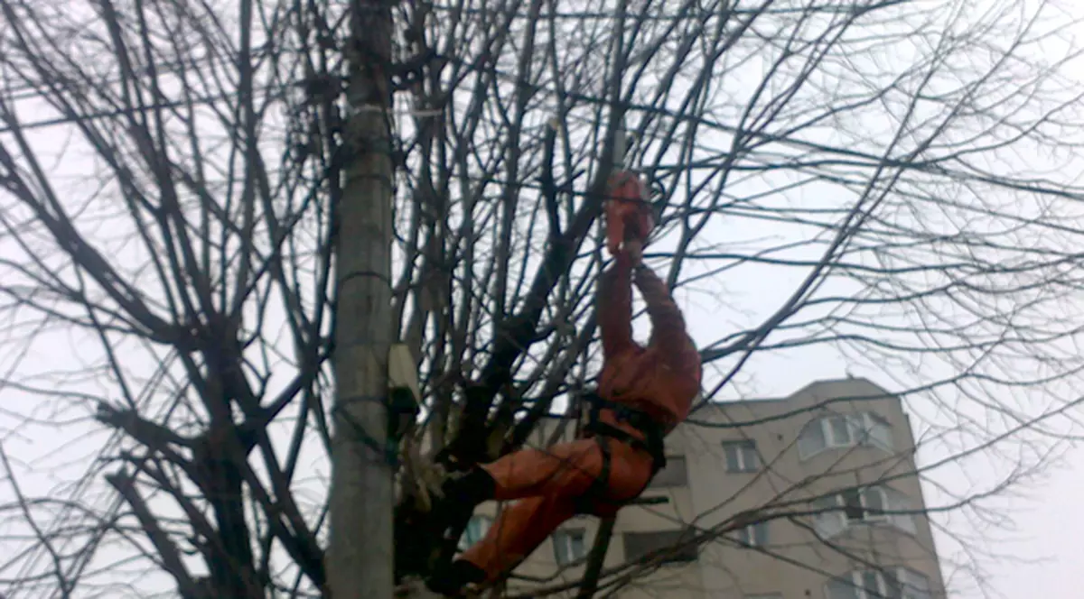 Dorel de la ”Spații verzi” și-a băgat colegul în spital. S-a întâmplat la Huși